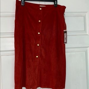 Eva Mendes New York & Company skirt